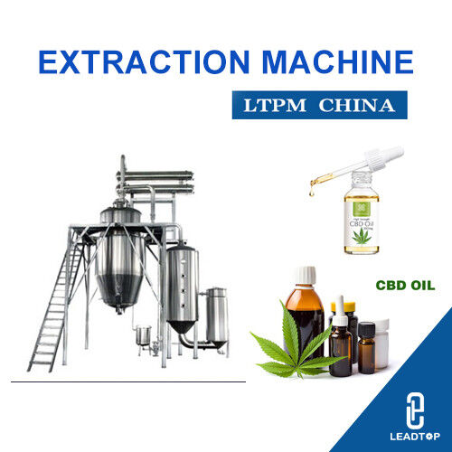 Son şirket haberleri İngiliz firması CBD fabrikasını açarken Lesotho tıbbi esrar patlamasından para kazanıyor